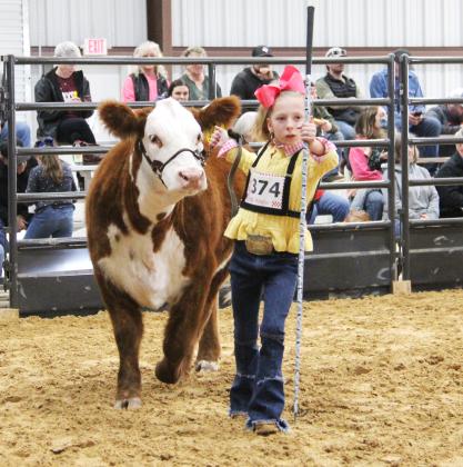 ECLA Cattle Show 1