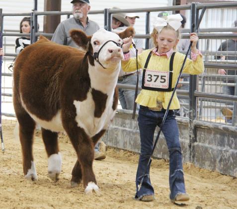 ECLA Cattle Show 4