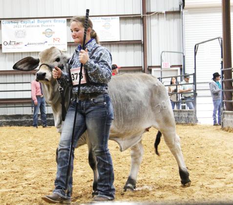 ECLA Cattle Show 5