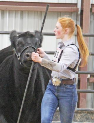 ECLA Cattle Show 5