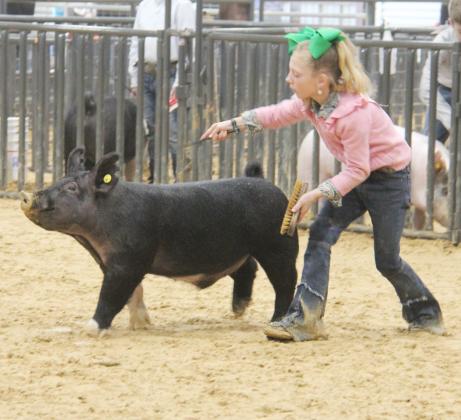 Swine show 10