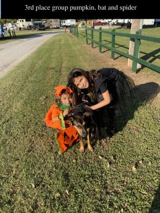 Third place - Athena the cat, Evelyn the pumpkin and 5 month old puppy Brownie, as a bat