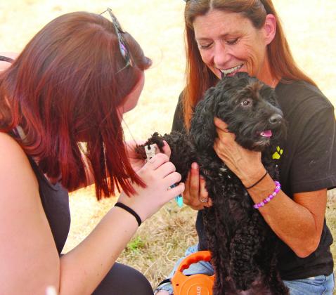 More than $9,000 was raised for Erath County Humane Society’s new shelter through last Saturday’s Canines and Coffee event in September 2024. A wide variety of vendors and entertainment was at the event including famous Tick Tocker Nick Luciano and his dogs Maverick and Bullet.