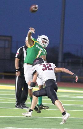 Lions battle Bulldogs in home defeat