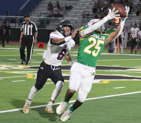 Lions battle Bulldogs in home defeat