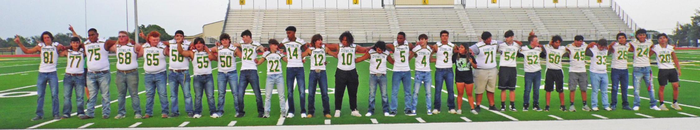 Meet the Lions