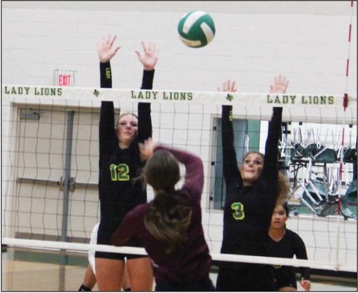 The Dublin JV Lady Lions triumphed over Millsap in a three-set home game on Tuesday, Sept. 19. Paul Gaudette | Citizen staff photo