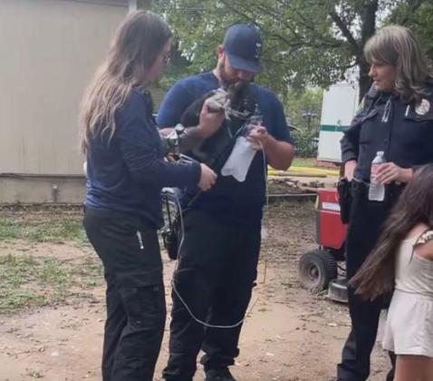 Dublin EMS aids a cat suffering from smoke inhalation after a structure fire on Saturday, Oct. 28. Courtesy photo