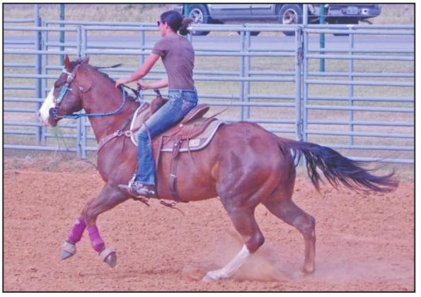 Double N Cowboy Church hosts family fun day