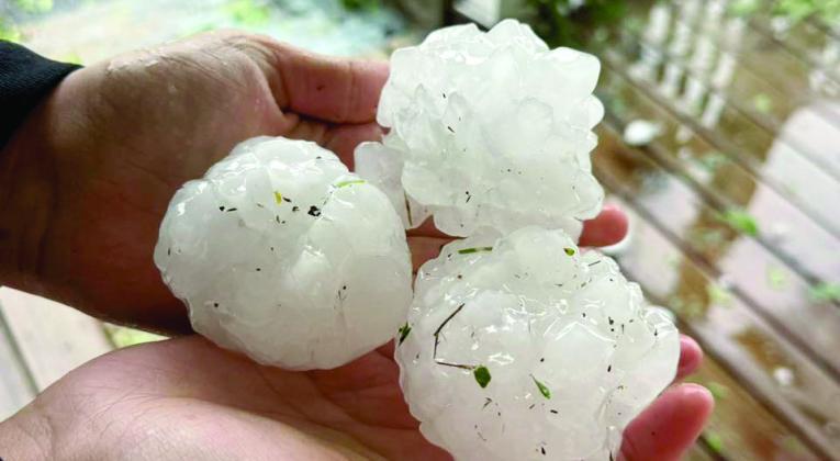Large hail pummeled Dublin on Sunday causing widespread damage. According to NWS Fort Worth, the town received tennis to baseball Denise Weems | Courtesy photo