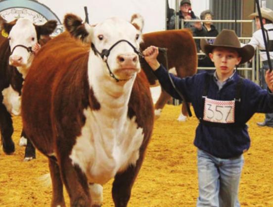 Big Winners at the Erath Stock Show