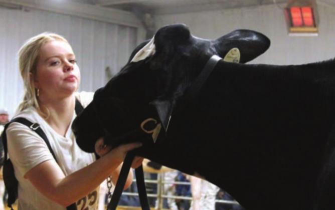 Big Winners at the Erath Stock Show