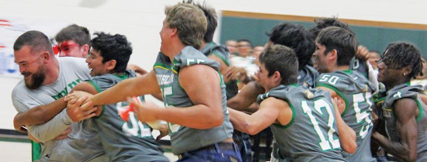 Lions, Tigers go claw for claw