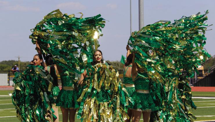 In a sea of green and gold, Dandi-Lions perform at the community-wide pep rally Friday, Sept. 28 at Cervetto Stadium. For more Homecoming photos see page B8 and the Dublin Citizen Facebook page. Wyndi Veigel-Gaudette | Citizen staff photo