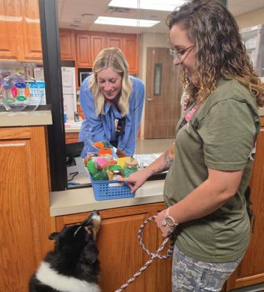Annie sniffs a gift basket given to her and her handler Lyndi Hanna as an anniversary gift for volunteering for 10 years at Texas Health Resources-Stephenville. Wyndi Veigel-Gaudette | Citizen staff photo
