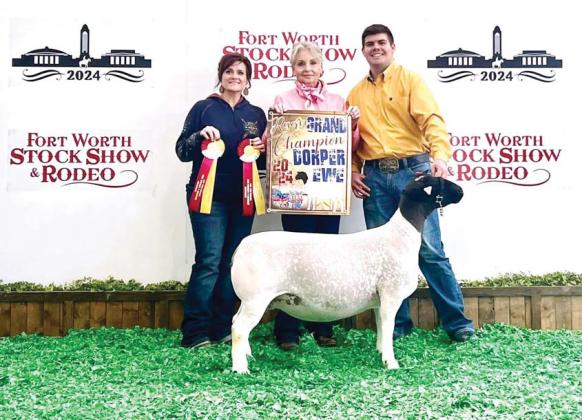 Dublin FFA member Hudson Moore had an exciting week at the Fort Worth Stock Show and Rodeo, taking home multiple banners and rosettes after racking up several accolades including first place finishes in two lamb classes and showing the Reserve Grand Champion Dorper Ewe. | submitted photo