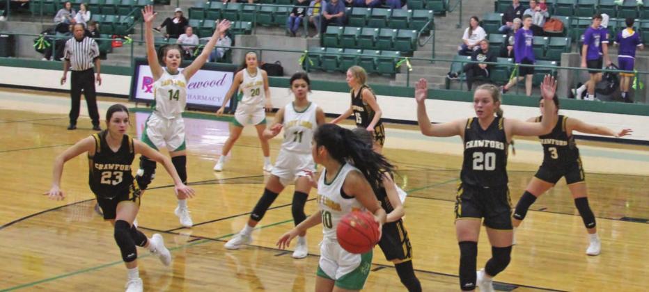 Dublin Lady Lions