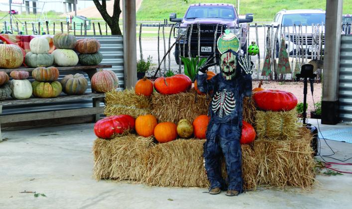 Bobo, a scary yet friendly zombie, shows off his Halloween costume at Texas Sage’ Mums, monsters and magic event Saturday, Oct. 25. The event at the nursery showcased a wide variety of vendors, mums, pumpkins as well as upcoming holiday items for both Thanksgiving and Christmas. For more photos see The Dublin Citizen Facebook page. The nursery and garden market is located at 2554 W. Hwy. 6. Wyndi Veigel-Gaudette | Citizen staff photo