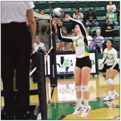 Lady Lions LEASH HAMILTON at home