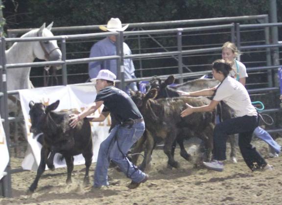 A total of 11 Dublin FFA students competed in the calf scramble during the Aug. 17 UPRA rodeo hosted by Byrn Rodeo Productions at the Dublin City Park Arena. Kids who caught a calf during the event received either a $250 check for their project or a scholarship. Winners of the event included: Juan Macias, Bailey Watson, NavaLee White and Anabelle Delgado. Wyndi Veigel-Gaudette | Citizen staff photo