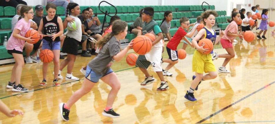 2024 DHS Basketball Camps