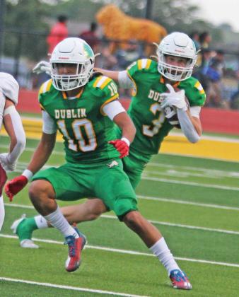 Lions look to leash Bulldogs