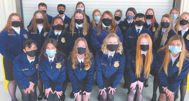 Dublin FFA is sending 11 students (in four teams) to Area competition after a successful day at the Pecan Valley District Leadership Development Events Friday. | submitted photo
