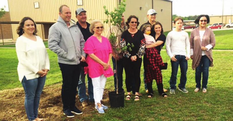 Trees were planted