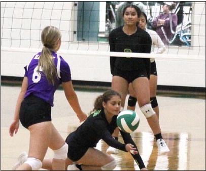 The Dublin JV Lady Lions