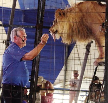 It's Circus Time!