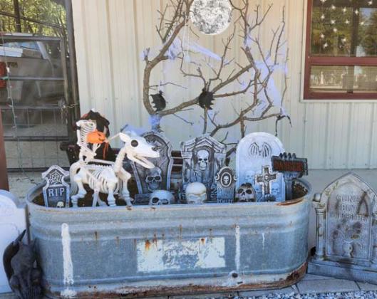 Courtesy photo Dublin Veterinary Clinic was named as the winner in the business division for the library’s Tell us Your Spooky Story contest. The clinic utilized a doggie skelton as a horse for their Legend of Sleepy Hollow written by Washington Irving.