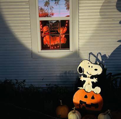 It’s the Great Pumpkin, Charlie Brown written by Charles M. Shulz was featured in a display by Marcie W a r n e r Brownlee. All displays acted as a fundraiser for the library. Courtesy photo