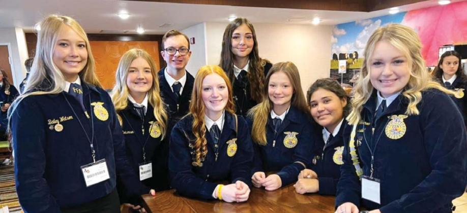 Dublin FFA