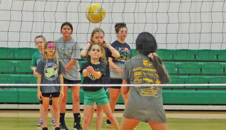 Lady Lions camp digs into basics