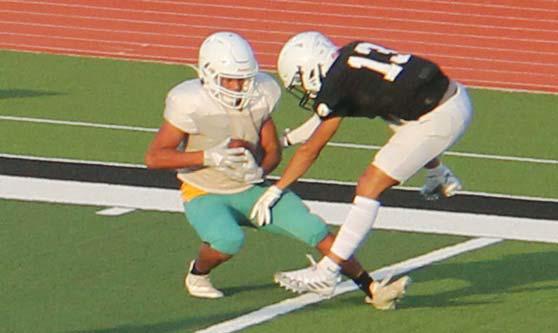 Lions taking Green &amp; Gold lessons to Fort Worth