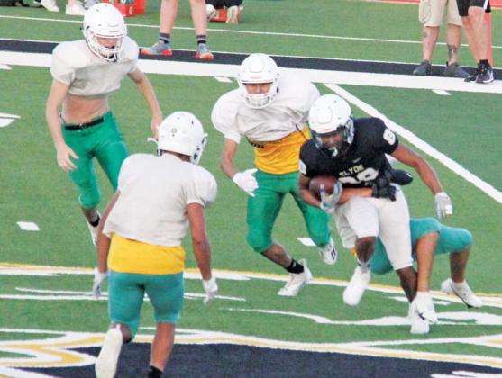 Lions taking Green &amp; Gold lessons to Fort Worth