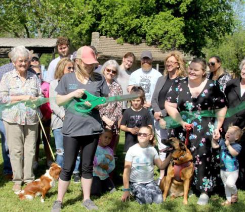 Dog-Gone It finds home in Dublin