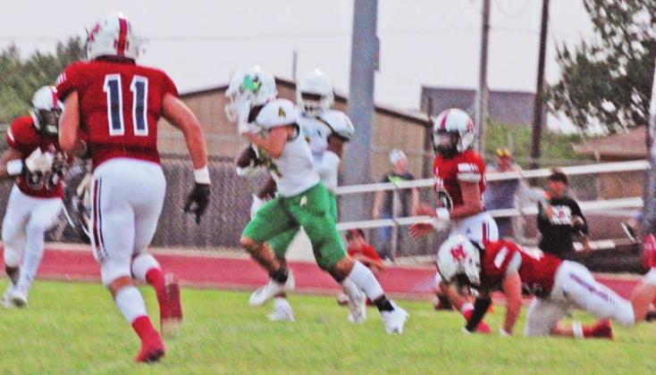Lions take down Tigers
