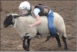 A youngster smiles as they participate in the mutton bustin’ event. Alex Lamkin received first place and Olivia Lamkin received second place. In the 12 and under calf scramble Colton Caldera and John DeCiccio were awarded. Wyndi Veigel | Citizen staff photo