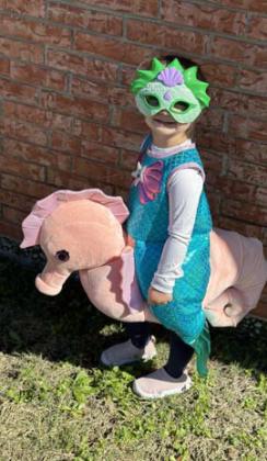 First place went to Kendall Kolb as a mermaid riding her sea horse. She will receive $25 from the Dublin Chamber of Commerce. Submitted photo