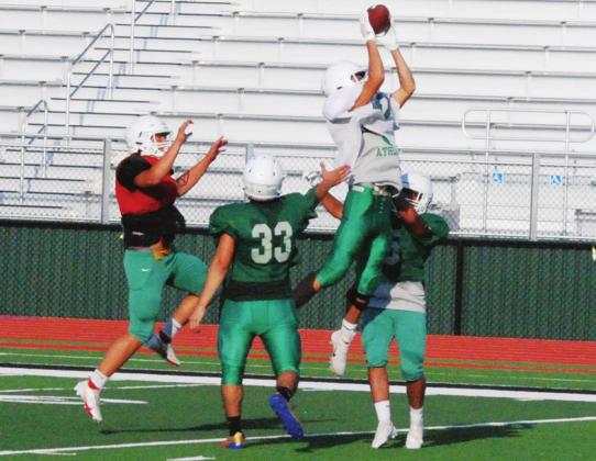 Lions hit turf for Green &amp; Gold