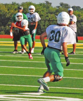 Lions hit turf for Green &amp; Gold