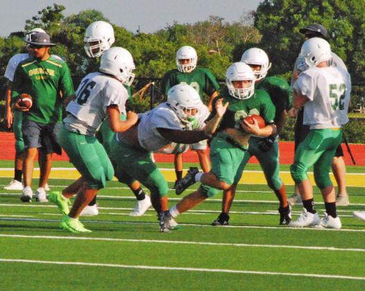 Lions hit turf for Green &amp; Gold