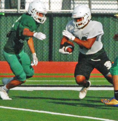 Lions hit turf for Green &amp; Gold