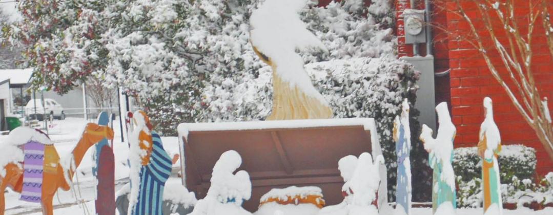 Snow covers a Nativity scene, signage at the City Park and a bush on New Year’s Day. Paul Gaudette | Citizen staff photos
