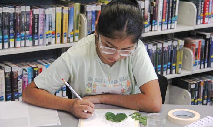 Art Camp returns to Summer Reading