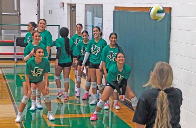 Lady Lions dig into new season