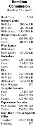 Sheep/ Goats