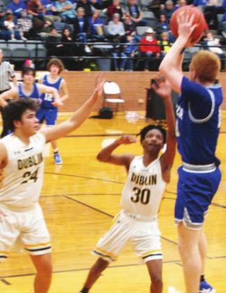 Lions end as Area Champs
