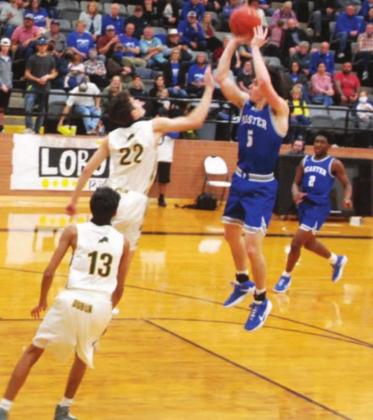 Lions end as Area Champs